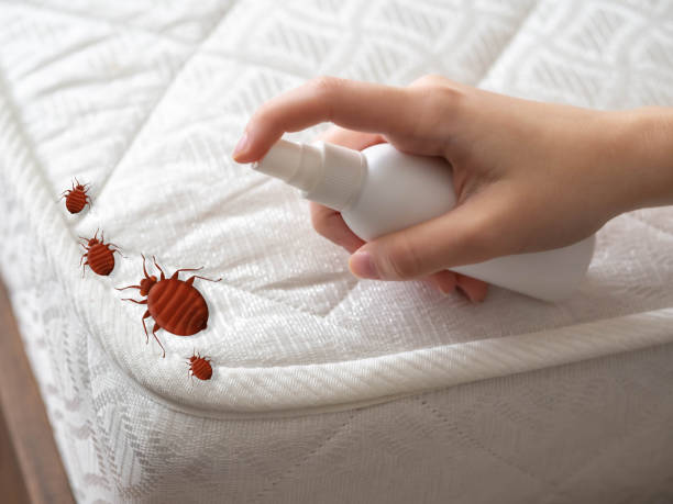 Best Real Estate Pest Inspections  in Woodlawn, OH